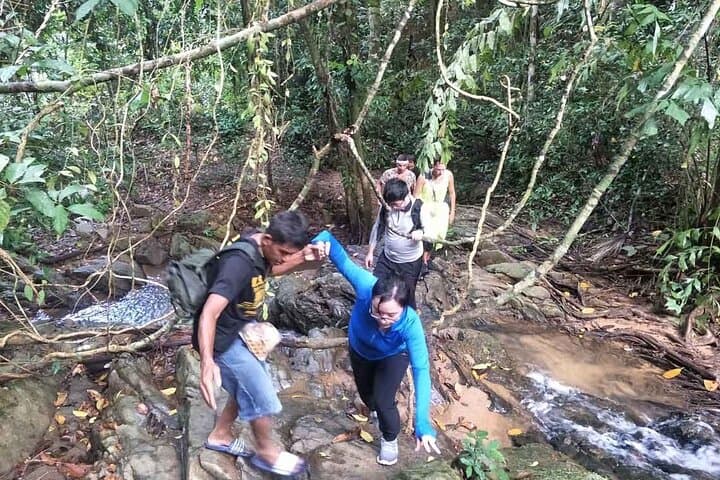 Phuket Jungle Trekking at Khao Phra Taew National Park — Half & Full Day Rainforest Hike photo 5