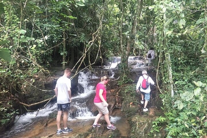 Phuket Jungle Trekking at Khao Phra Taew National Park — Half & Full Day Rainforest Hike photo 6