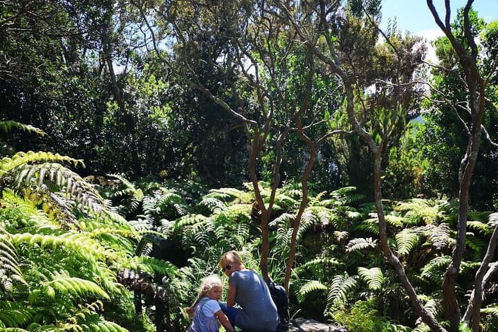 Explore Faial in a Day: Private Full-Day Tour to Capelinhos Volcano & Caldeira photo 4