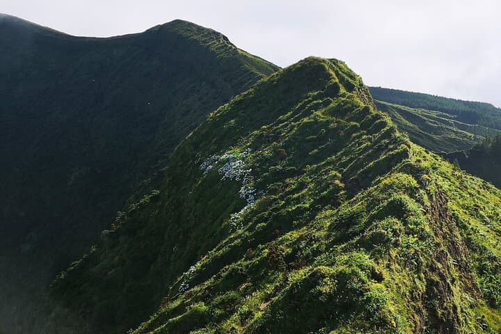 Hike the Caldeira: Private Half-Day Perimeter Trek on Faial Island photo 4