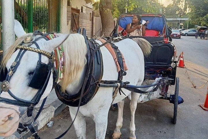 Cairo Felucca & Carriage: Private City Tour with Koshry Meal photo 3
