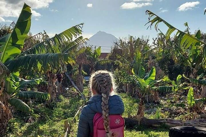 Faial Full-Day Private Tour: Capelinhos Volcano, Beaches & Island Life