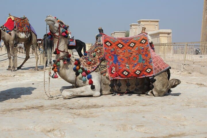 Private Half-Day Giza Pyramids Tour with Camel Ride and Egyptologist Guide photo 2