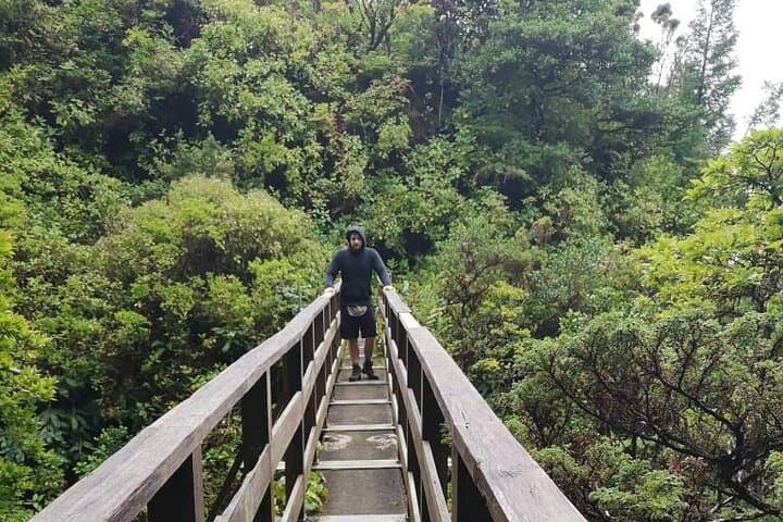 Private Levada Hike on Faial Island — 3–4 Hour Guided Trail