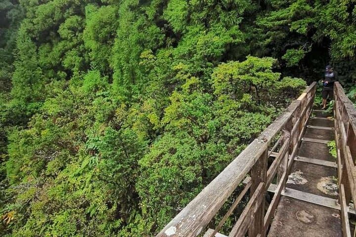 Private Levada Hike on Faial Island — 3–4 Hour Guided Trail photo 2