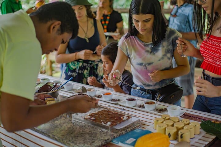 Hands-On Chocolate Tour in La Fortuna — Organic Cocoa Farm & Bonbon Workshop photo 3