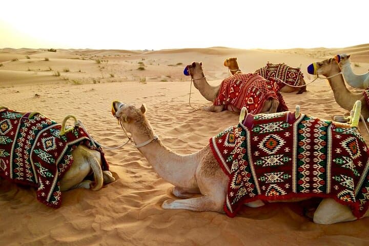 Sunrise Dune Dash: Private Morning Desert Safari in Dubai photo 6