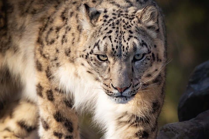 Granby Zoo One-Day Trip — Zoo, Fruit Picking & Family Fun Near Montreal photo 3