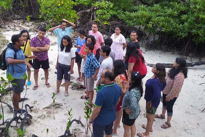 Havelock Marine Trail: Low-Tide Walk Through Mangroves, Seagrass & Coral photo 4