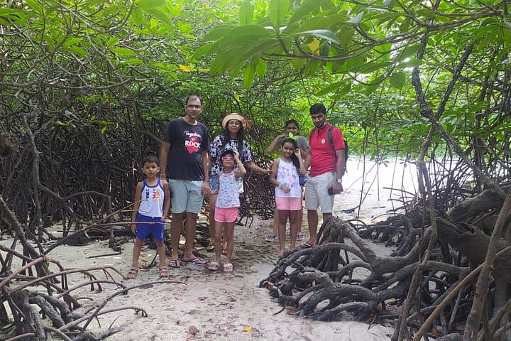 Havelock Marine Trail: Low-Tide Walk Through Mangroves, Seagrass & Coral photo 2
