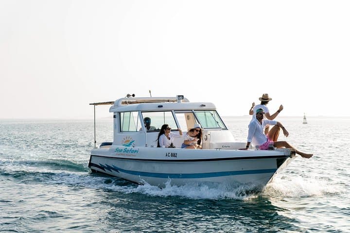 Abu Dhabi Island Hopping: 4-Hour Cruise to Dolphins & Bahrani Beach photo 3