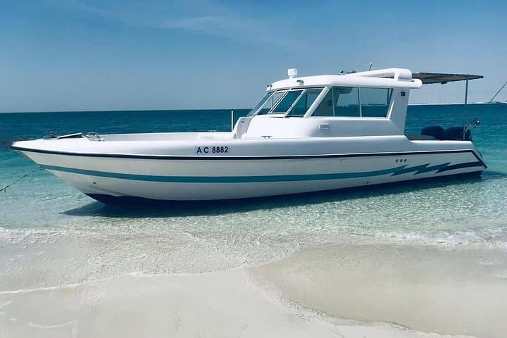 Abu Dhabi Island Hopping: 4-Hour Cruise to Dolphins & Bahrani Beach photo 4
