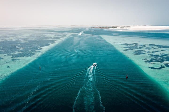 Abu Dhabi Island Hopping: 4-Hour Cruise to Dolphins & Bahrani Beach photo 5