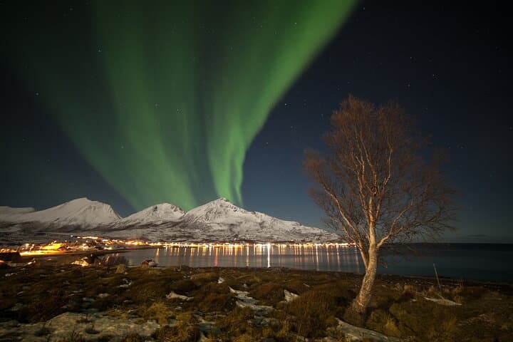 Budget Northern Lights Chase by Bus from Tromsø — Evening Aurora Tour with Photos photo 4