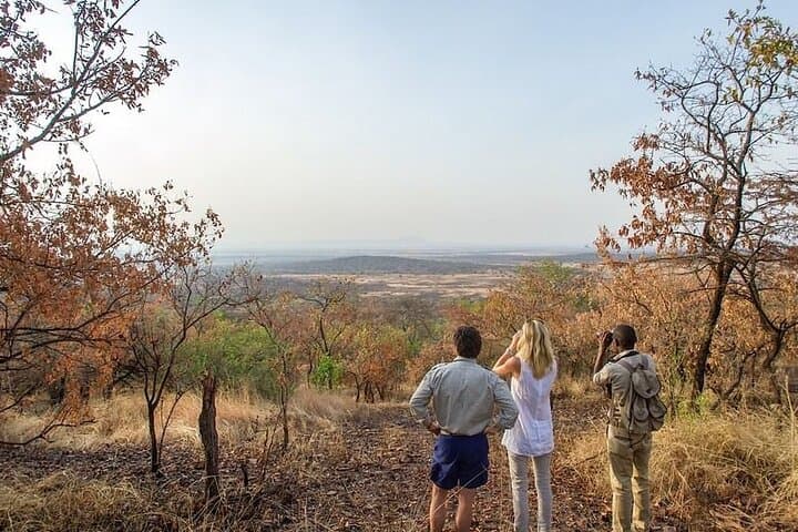 Full-Day Serengeti Safari from Mwanza — Wildlife, Rivers & Rolling Plains photo 4