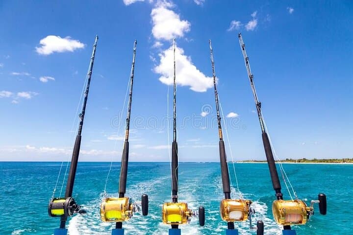 Private Deep Sea Fishing Adventure in Montego Bay: A Family-Friendly Offshore Experience photo 6