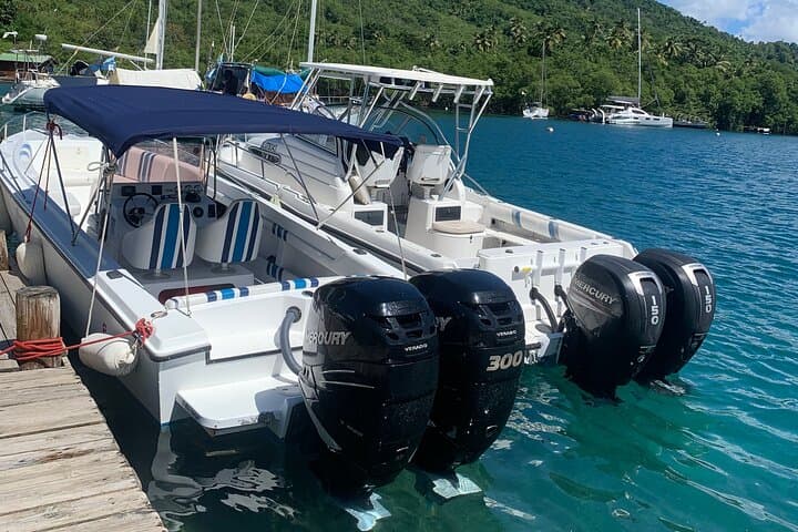 Private Speedboat to Soufriere: All‑Inclusive Mud Bath, Waterfall & Snorkel Tour in St. Lucia photo 2