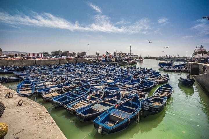 Essaouira Day Trip from Marrakech: Atlantic Ramparts, Medina Strolls & Argan Cooperatives photo 2