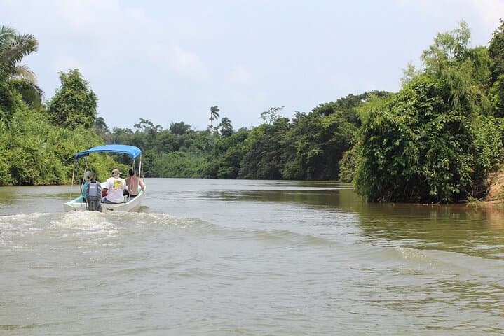 Monkey River Tour from Hopkins — Howler Monkeys, Manatees & Village Lunch photo 4