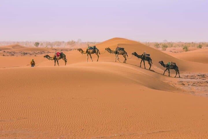 3-Day Marrakech to Merzouga Desert Tour: Camel Trek, Erg-Chebbi & Ait Ben Haddou