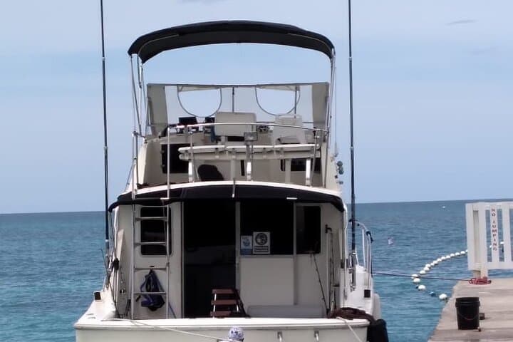 Private Deep Sea Fishing Adventure in Montego Bay: A Family-Friendly Offshore Experience photo 4