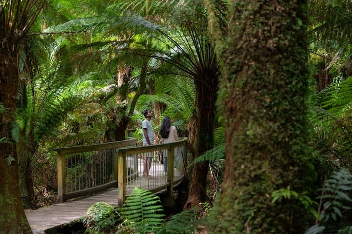 Great Ocean Road to Grampians: 2-Day Coastal & Mountain Tour from Melbourne to Adelaide photo 4