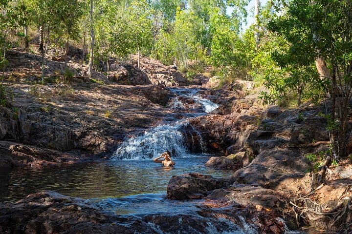 Litchfield Waterfalls & Wildlife Day Tour from Darwin photo 3