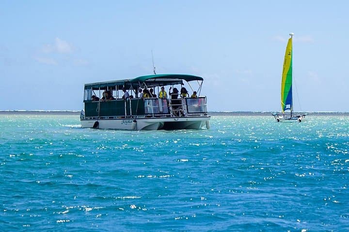 Kaneohe Bay Sandbar Snorkel & Paddle: Boat Tour to Kaneohe's Turtle Reef photo 4