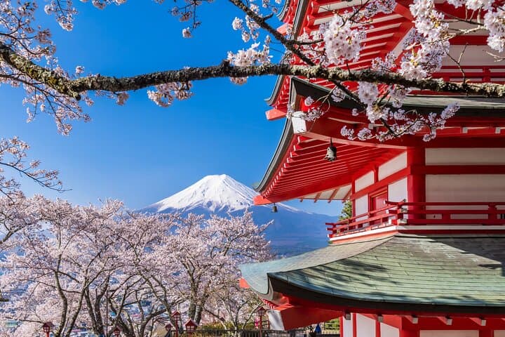 Mt Fuji Private Chauffeur Tour from Tokyo — 8‑Hour Fuji Five Lakes & 5th Station Experience photo 4