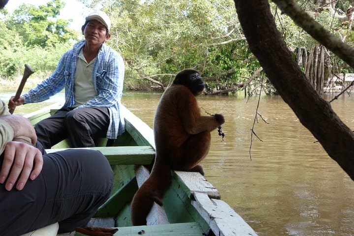Private 4-Day Amazon Tour from Iquitos — Community-Run Pacaya Samiria Adventure photo 2