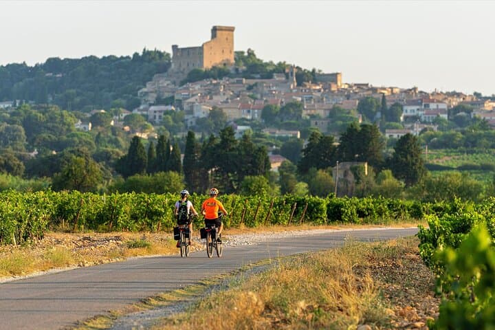 Full-Day E-Bike Rental Around Mont Ventoux from Vaison-la-Romaine photo 2