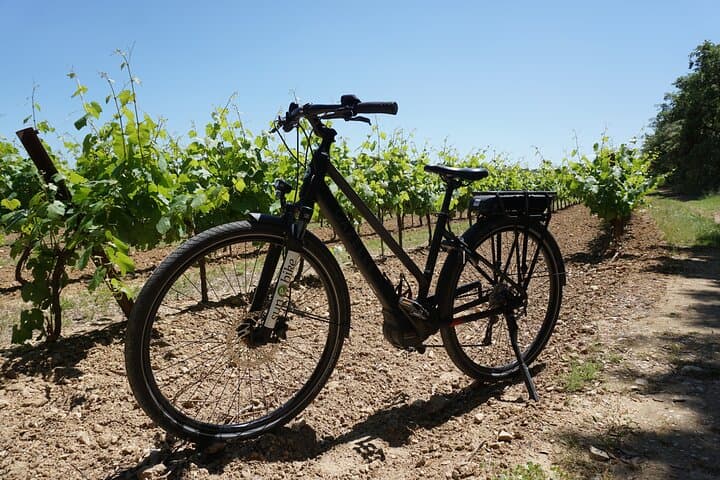 Full-Day E-Bike Rental Around Mont Ventoux from Vaison-la-Romaine photo 3