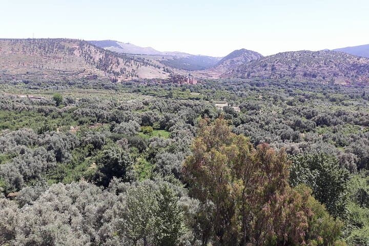Day Trip to Ourika Valley & Setti Fatma Waterfalls from Marrakech photo 2
