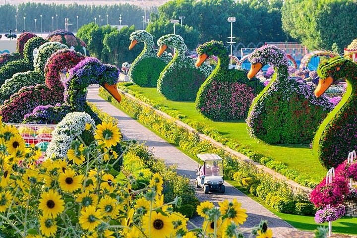Explore Dubai Miracle Garden: Winter Flower Displays & Butterfly Garden Tickets photo 4
