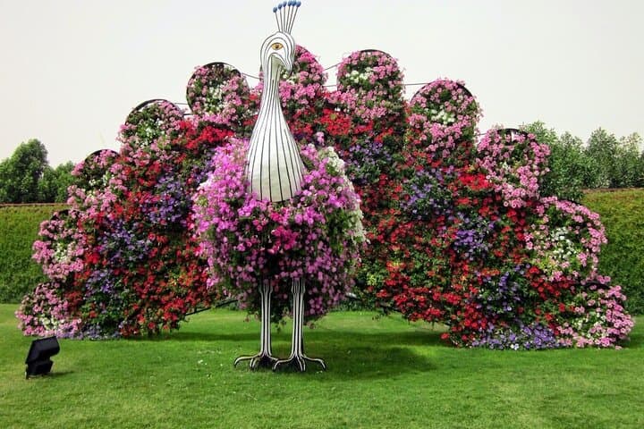 Explore Dubai Miracle Garden: Winter Flower Displays & Butterfly Garden Tickets photo 5