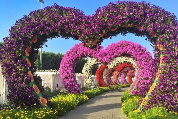 Explore Dubai Miracle Garden: Winter Flower Displays & Butterfly Garden Tickets photo 6