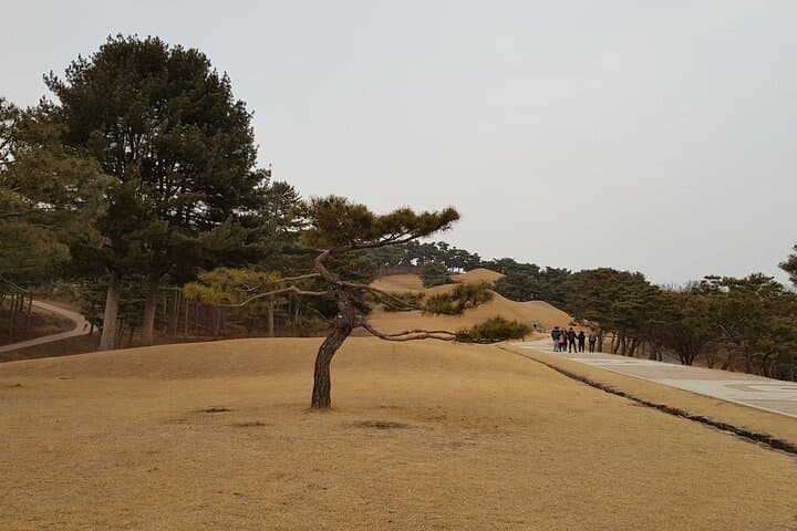Three-Day Baekje Heritage Tour: Jeonju, Buyeo & Gongju UNESCO Highlights photo 4