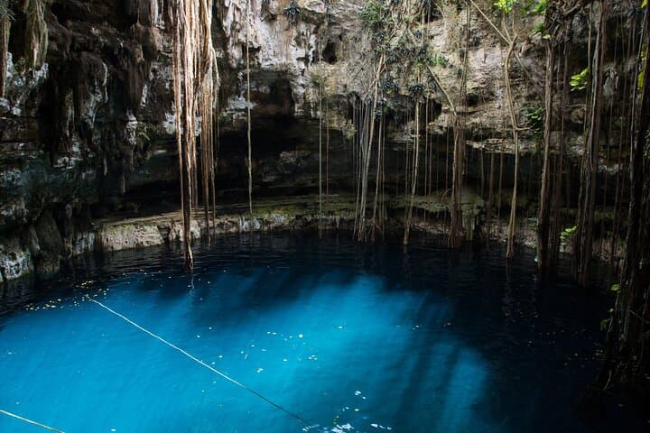 Chasing Light: Half-Day Yucatán Cenote Photo & Snorkel Tour from Playa del Carmen