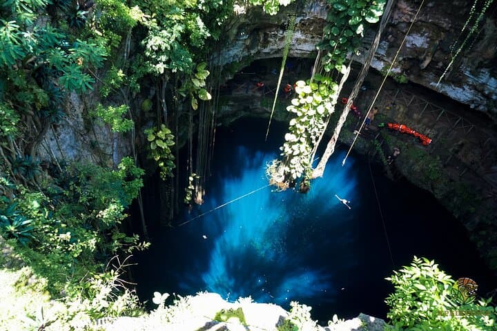 Chasing Light: Half-Day Yucatán Cenote Photo & Snorkel Tour from Playa del Carmen photo 2