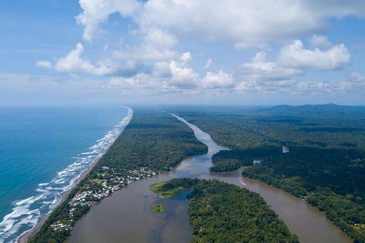 Tortuguero National Park Full-Day Private Tour from San José photo 2