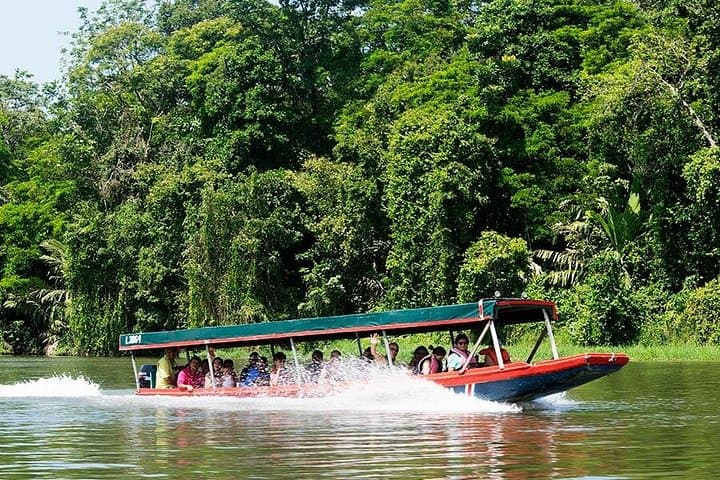 Tortuguero National Park Full-Day Private Tour from San José photo 3