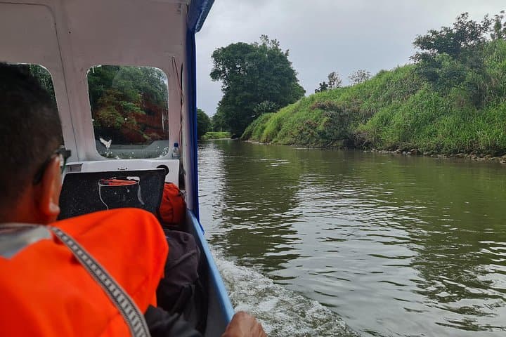 Tortuguero National Park Full-Day Private Tour from San José photo 4
