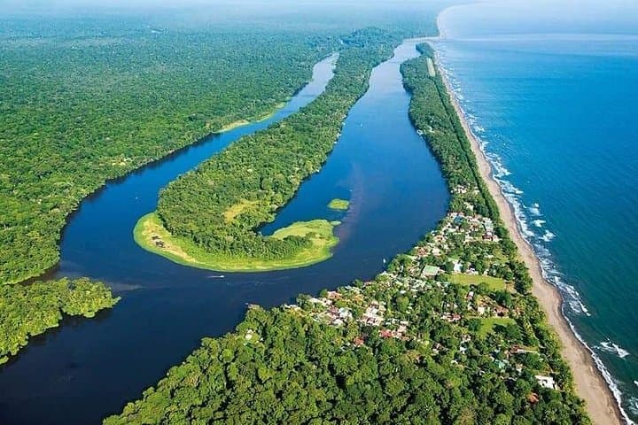 Tortuguero National Park Full-Day Private Tour from San José photo 1