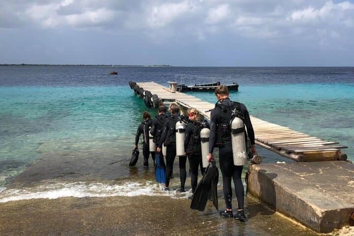 Bonaire Small-Group Shore Diving: Dive Like a Local on Remote Reefs photo 3