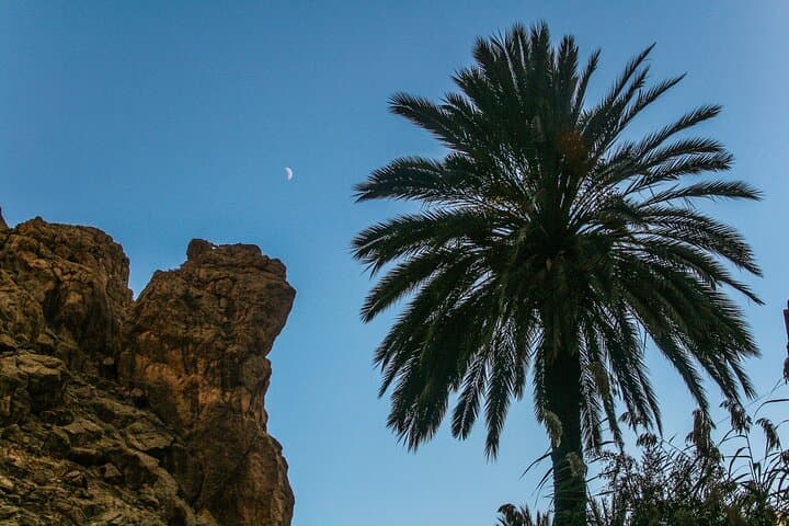 Palmeraie Quad Biking and 15-Minute Camel Ride Near Marrakech photo 6