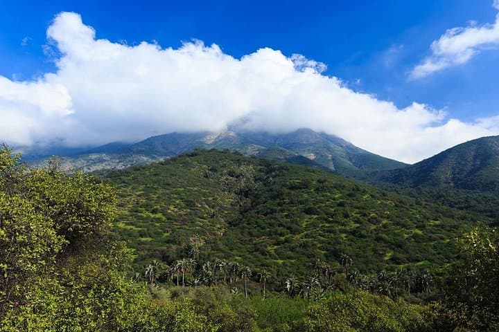 La Campana Hill Trekking from Santiago: Cerro La Campana Summit Day Hike photo 4