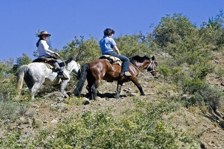 Horseback to El Morado: Day Ride to the Hanging Glacier from Santiago