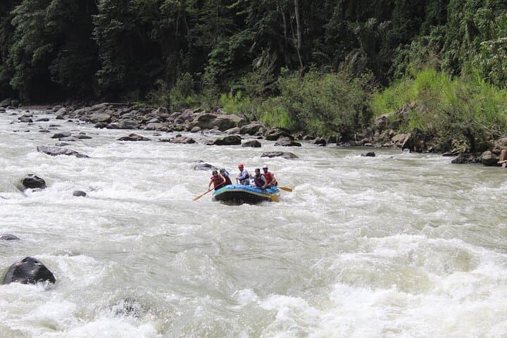 One-Day Pacuare River Rafting from Turrialba