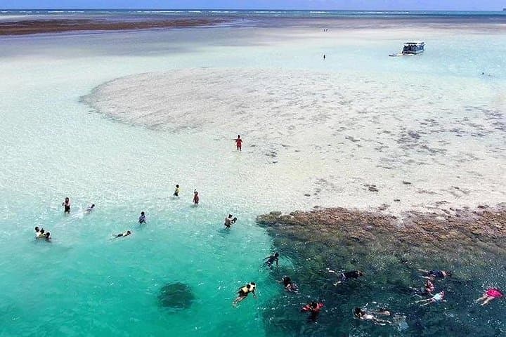 Kaneohe Bay Sandbar Snorkel and Paddleboard Tour — Turtle Watching & Sandbar Picnic photo 4