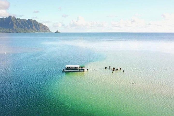 Kaneohe Bay Sandbar Snorkel & Paddle: Boat Tour to Kaneohe's Turtle Reef photo 3